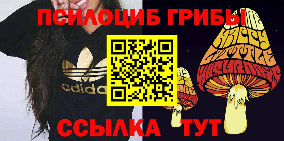 Псилоцибиновые грибы мухоморы  Вход с VPN  Усть-Илимск 